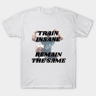 WORKOUT: TRAIN INSANE OR REMAIN THE SAME! T-Shirt